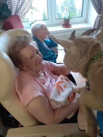 406646228_746430160857354_4732235412598431201_n