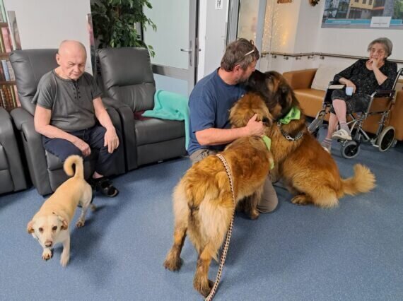 5881f566-e1ff-4b0c-9cb7-e365eb086bf6