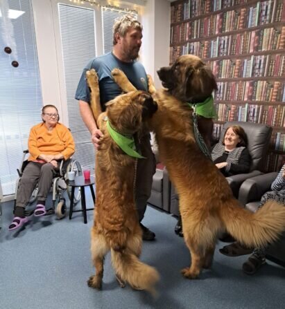 68068dfc-c35f-40a8-bbd3-7cd800ceeba8