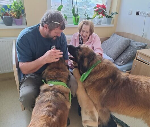 8fa6eb9d-097a-4916-a5bd-781def5893b0