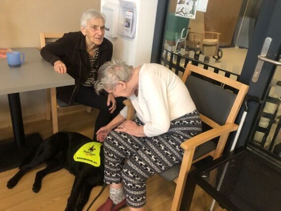 IMG-20240112-WA0038[1]