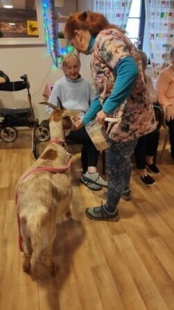 IMG_20240115_102449_1