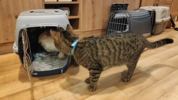 IMG_20240115_103709_1