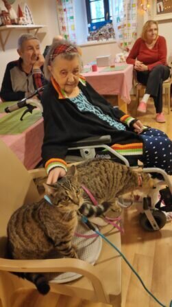 IMG_20240115_104430_1