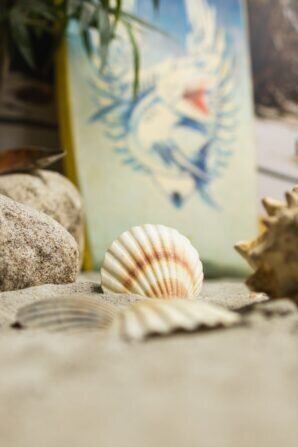 PHOTO-2024-01-16-12-42-08 2