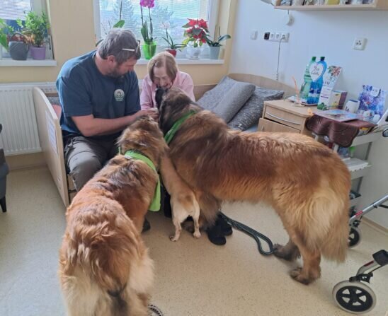 cbfd370f-fc61-4eb1-8ebf-b852f25d09c2