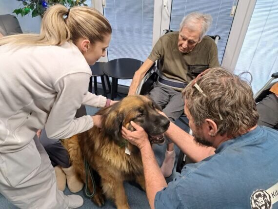 ff79589d-65c2-4a08-bfb1-e44ec98a326e