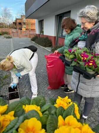 417425127_381906324552362_7173500432054734387_n