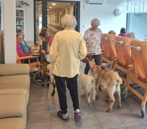 420358104_371116305631364_4871208415119066605_n