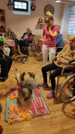 IMG_20240209_111354_1