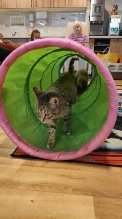 IMG_20240213_101257_1