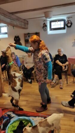 IMG_20240213_105406_1