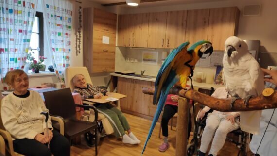 IMG_20240220_102028_1