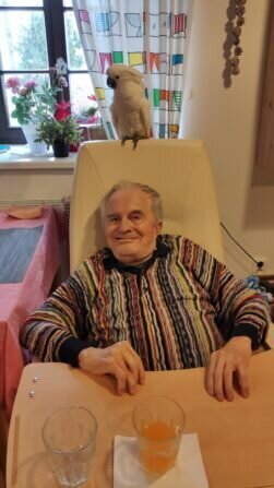 IMG_20240220_105601_1