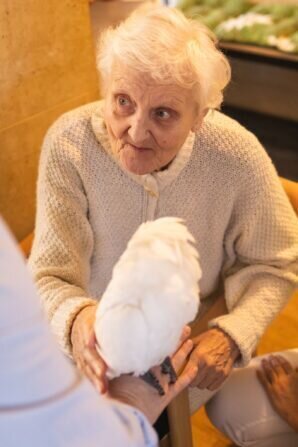 PHOTO-2024-02-12-13-32-20