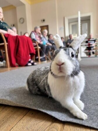 2024 03 11 králičí hop