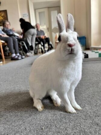 2024 03 11 králičí hop (6)