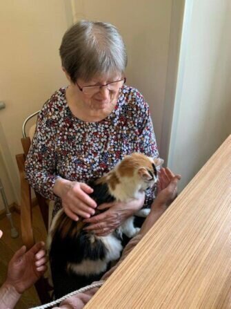 2024 03 veselý poníkov (8)