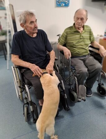 31c6bc33-91c9-4fdd-ab0f-f5fe9cae1ed7