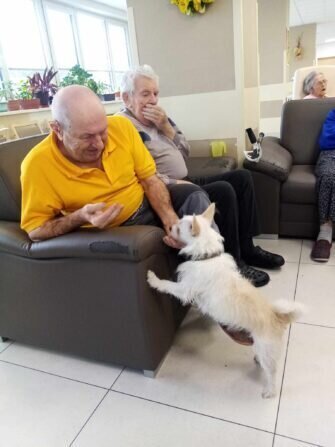 417457535_793239336176436_1007215134410595942_n