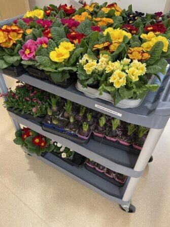 418805060_807287698104933_7281710907148474281_n