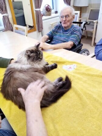 420193933_788802296620140_7657261360560677688_n