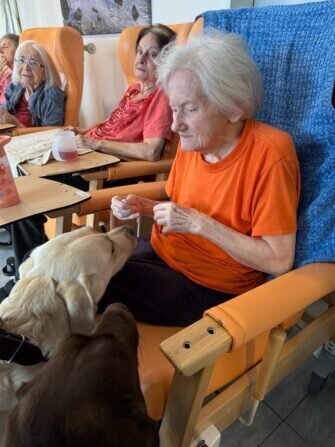 420299530_393863783356616_3876855537474681287_n