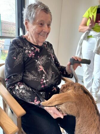 424859581_391565096919818_4005056698248633822_n