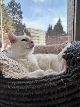 428923626_397796956303624_2622739834387899713_n