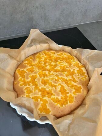 430618825_1443149183219586_6915141239707428273_n