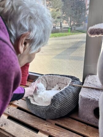 433917064_2489823001217919_7154835419725801390_n