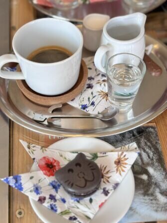 434009764_922272706358005_2754076366951247386_n