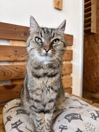 434009772_1411206772847409_2989827319065308983_n