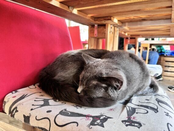 434049106_1079562296488538_2474304971109639659_n