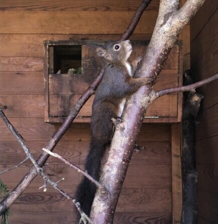 434210358_963422178463158_4404352213341397196_n