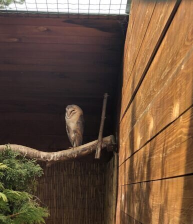 434216686_943856733803637_965178263316168999_n