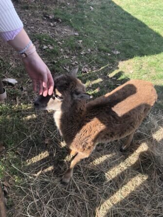 434231747_1566553477618608_298715560147881312_n