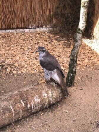 434243120_421992247044857_7766298447009300129_n