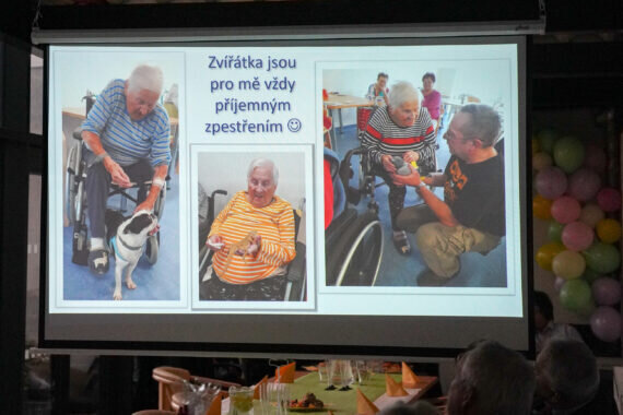 53558030410_91105accbd_o