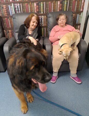 788aa5ec-7d9d-4b68-8601-61a1e905028f