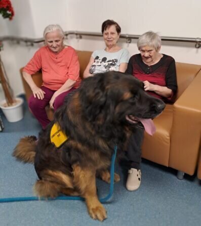 902b19ee-7e6d-40df-a7a7-01ed8c465d57