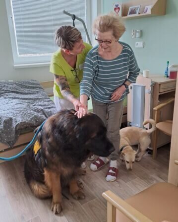 91d677a8-5168-4421-883f-4eca0785756c