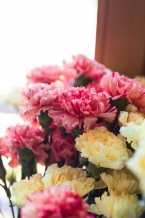 PHOTO-2024-03-08-11-11-41 2