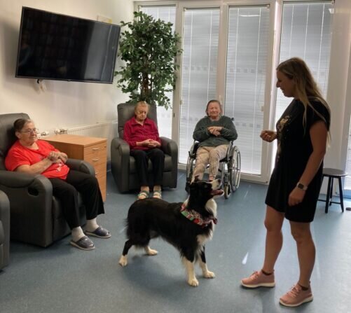 173202d8-8845-4679-94a1-7dbb155bd470