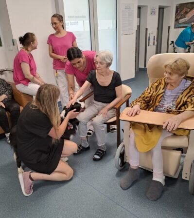 1c9c0b64-e1f2-49a1-8ebd-ee3c8a3660f3