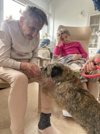 420289729_355416814166698_2343255718898262633_n