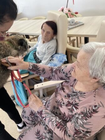 420545711_355416547500058_1951851239428613178_n