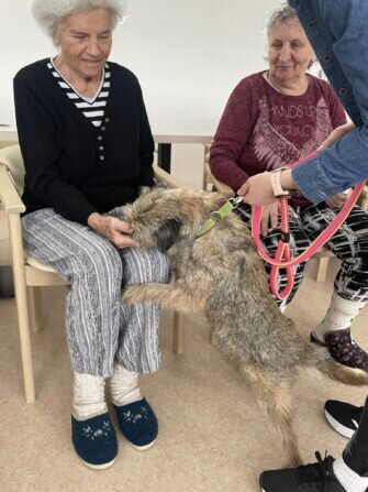 421354652_355416397500073_5552088547539094198_n