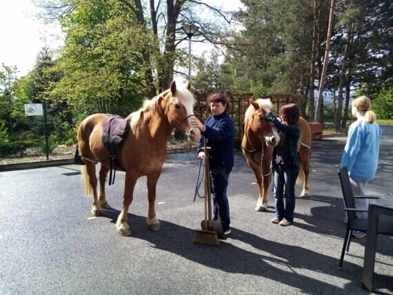 437483032_833803405453362_8707137779175312492_n