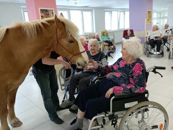 438900975_833804208786615_266592329729356366_n